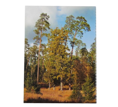 Książka OŁ cz.I miękka (2).jpg